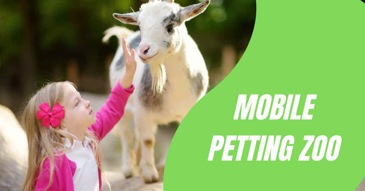 Starting a Mobile Petting Zoo: A Guide to Spreading Joy and Education